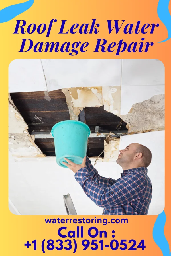 Roof Leak Water Damage Repair in Naperville, IL